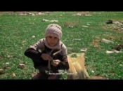 Little Palestine - Extrait 3